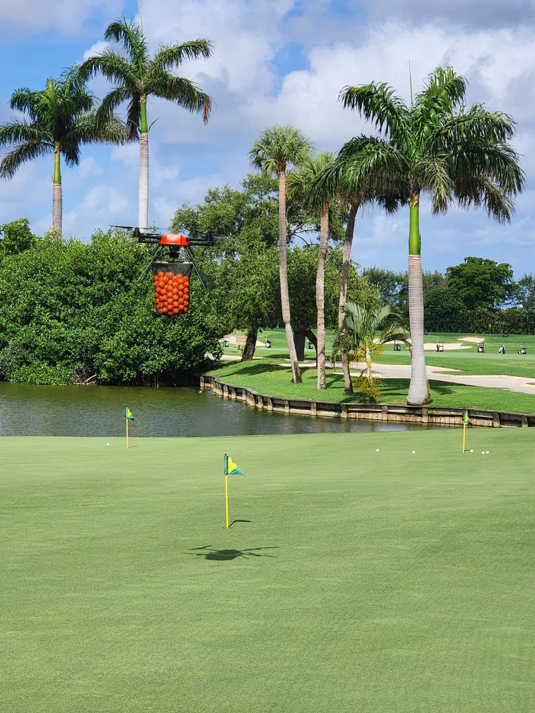 Drone Ball Drop over a golf course